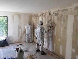 Best Mold Remediation for Vacation Homes  in Key Center, WA